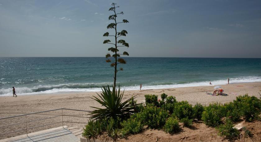 Apart. A-Dorada Miami Playa Exterior foto